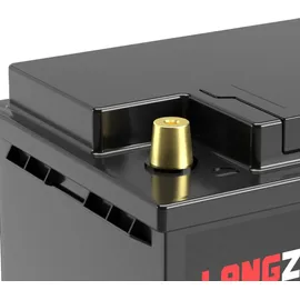 LANGZEIT Batterien LiFePO4 100Ah 12V Lithium Batterie Wohnmobil