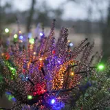 STAR LED-Lichterkette wetterfest 9 m Mehrfarbig