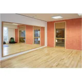 Sport-Thieme Sicherheitsspiegel Kristall 200 x 150 cm