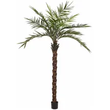 Europalms Kentia Palme deluxe, Kunstpflanze 300cm