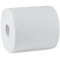 Plock GmbH Handtuchpapierrolle 2-lagig 124 m x 20 cm 6 Rollen