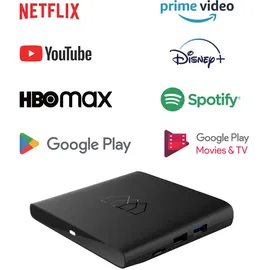 Homatics BoxQ T2/C | Android TV Box | Streaming Box | Google Voice Assistant | Netflix | Disney+ | Prime Video | WiFi Bluetooth 5.0, USB, MicroSD