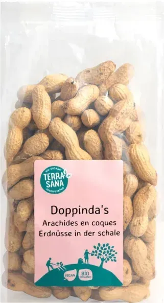 Terrasana Erdnüsse in Schale geröstet bio