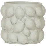 EXOTENHERZ Freche Früchte Ø 9 x 9 cm Limette