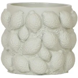 EXOTENHERZ Freche Früchte Ø 9 x 9 cm Limette