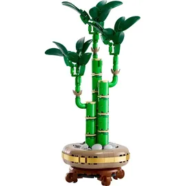 LEGO Botanicals 10344 Glücks-Bambus