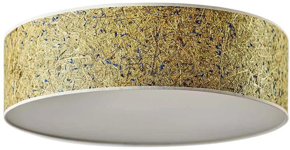 Deckenleuchte Discus mit Diffuser Almheu