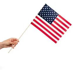 10 Papier Fahnen USA 20 x 30 cm Handfahnen Amerika