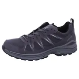 Lowa Innox EVO II GTX grau/grau, 48.5