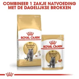 Royal Canin Adult British Shorthair 10 kg