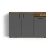 byLIVING Jakob 110 x 83,5 x 35,5 cm Old Wood (Altholz-Optik) / Anthrazit