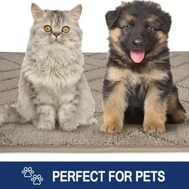 FCSDETAIL Schmutzfangmatte 60x90cm rutschfeste Fußmatte waschbar