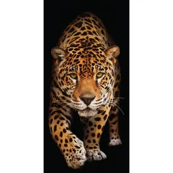 EUROART Glasbild 30 x 80 cm Panther II Glas Orange