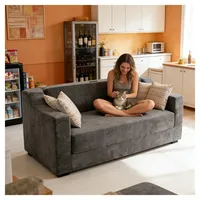 GAOHONGMEI Ausziehbar Schlafsofa Couch Sofa mit Schlaffunktion Bettsofa, Klappbares Bequemes Plüsch Modernes Stoffcouch 2 Sitzer Sofa Schwammmaterial, für Wohnzimmer, Wohnung, Büro