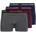 dunkelgrau melange/port royale/navy blazer S