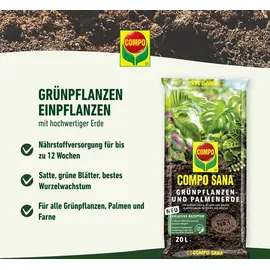 Compo Zimmerpflanzenerde 40 l