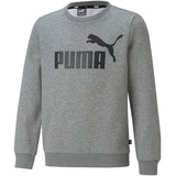 Puma Jungen Big Logo Crew Fl B Sweater, Medium Gray Heather, 164 EU