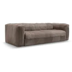 Rolf Benz Sofa 542 Moyo Leder Beigegrau
