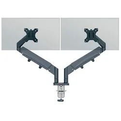 Leitz Bildschirm-Schwenkarm »Ergo« für 2 Monitore grau