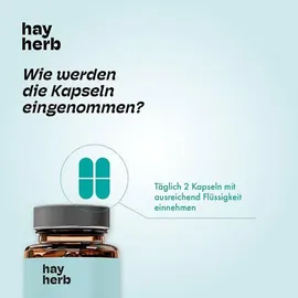 hay herb Longevity Komplex Kapseln 60 Stk.
