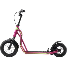 Star Scooter Roller 10/12 Zoll Mixed beere