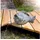 esotec Wasserspeier Solar Fisch