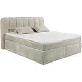 ed exciting design 200 x 220 cm H3 Beige