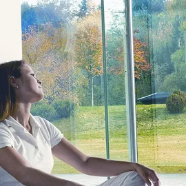 d-c-fix d-c-fix® Sonnenschutzfolie Static 90 cm x 2 m