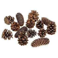 Echter Zapfenmix, 150 g