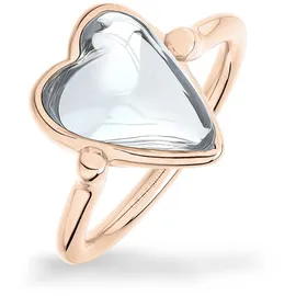 Liebeskind Berlin Liebeskind Edelstahlring LJ-1709-R-54 - roségold