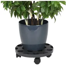 Alpfa Pflanzenroller 30 cm