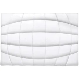 Frankenstolz 4-Jahreszeiten-Steppbett Soft - 200x200cm