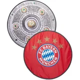 FC Bayern München Dekoschale Meisterschale faltbar rot|silberfarben