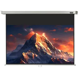 celexon Leinwand Rollo Professional 300 x 169 cm