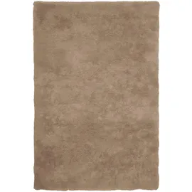 OBSESSION My Curacao 490 (Taupe, 200x290)