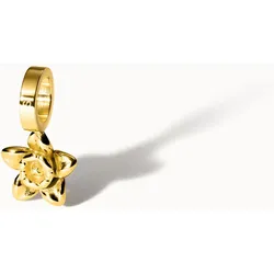 PURELEI Narzisse Geburtsblume Dezember Charm