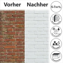 WO-WE Nano Fassadenfarbe Silbergrau 10 l