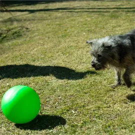 Procyon Treibball Größe S - extra stabil - gelb