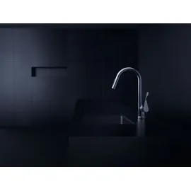 Hansgrohe Citterio Einhebelmischer Brushed Brass