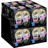 Sheba Perfect Portions Katzennassfutter – Hochwertiges Feuchtfutter für Katzen in 48 Schalen – Edle Pastete Lachs Katzenfutter Nassfutter Adult 24 x 6 Schalen à 37,5g)