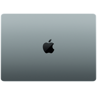 Apple MacBook Pro M3 2023 14,2" 16 GB RAM