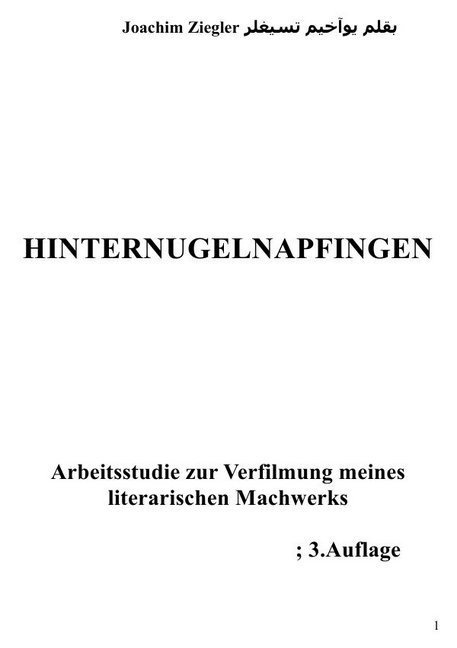 Hinternugelnapfingen Arbeitsstudie Zur Verfilmung Meines Literarischen Machwerks; 2.Auflage - Joachim Ziegler  Kartoniert (TB)