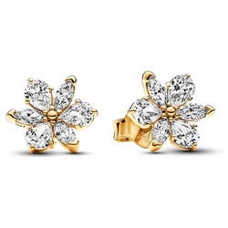 Pandora Ohrstecker Timeless 262633C01 - gold