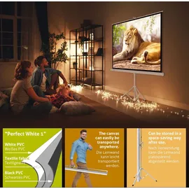 eSmart Economy EXS Stativ Leinwand 220 x 220 cm (123") 1:1