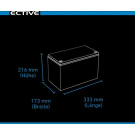 Ective DC 115S AGM Deep Cycle mit LCD-Anzeige 115Ah Versorgungsbatterie