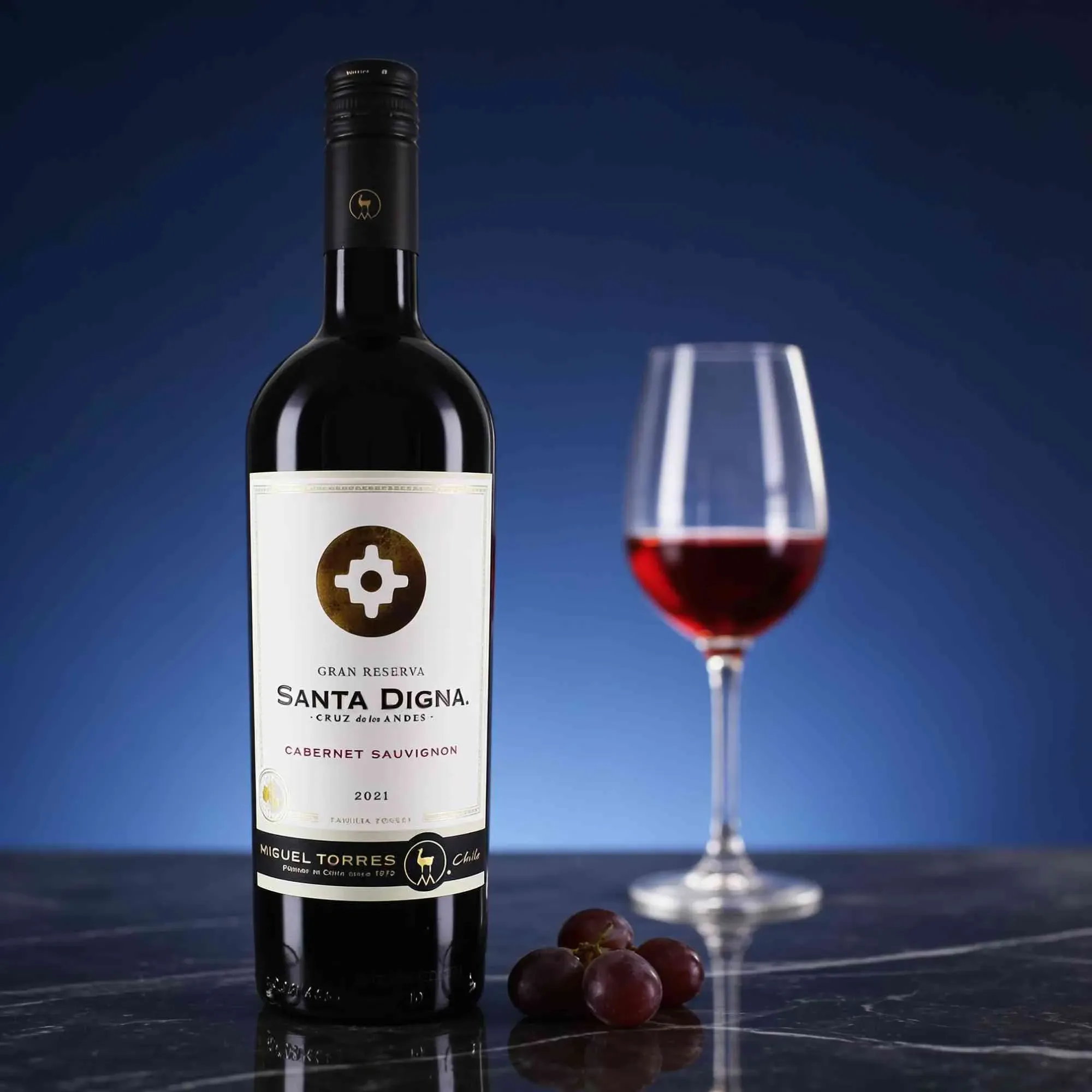 Torres 2021 Torres Santa Digna Cabernet Sauvignon Reserva 2021 Cabernet Sauvignon Chile