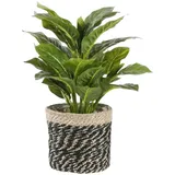 Marrakesch Orient & Mediterran Interior Marrakesch Ø 20 x 20 cm Natur-Schwarz
