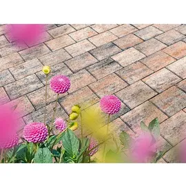 Diephaus Pflasterstein 20 x 15 x 5 cm Muschelkalk