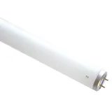 Scharnberger+Hasenbein T12 33W/840 G13