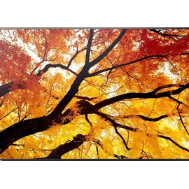 Sharp M862 Digital Signage Display 86"